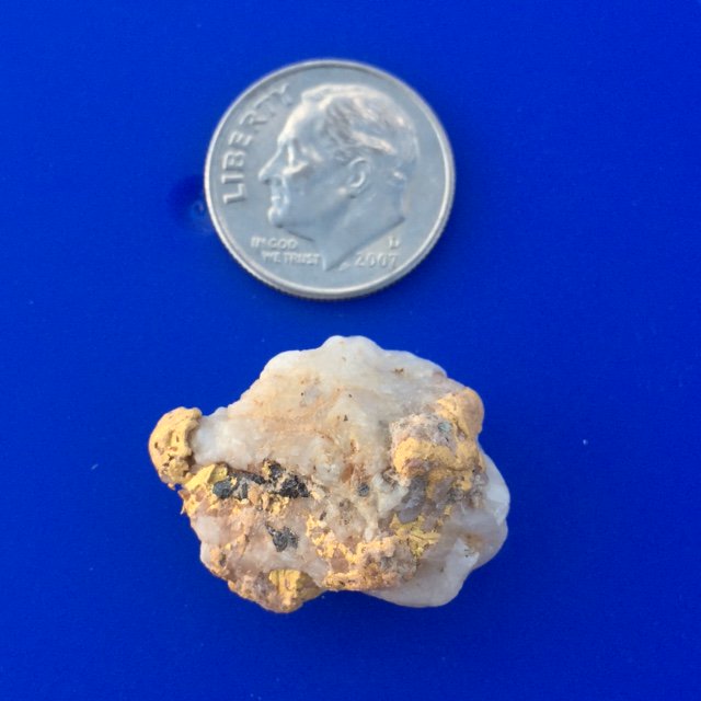 AZOutback's tweet image. Breakfast of champions! AZ prospector scores beautiful gold/quartz specimen while testing the new Nugget Finder 14x9” Evolution Coil!