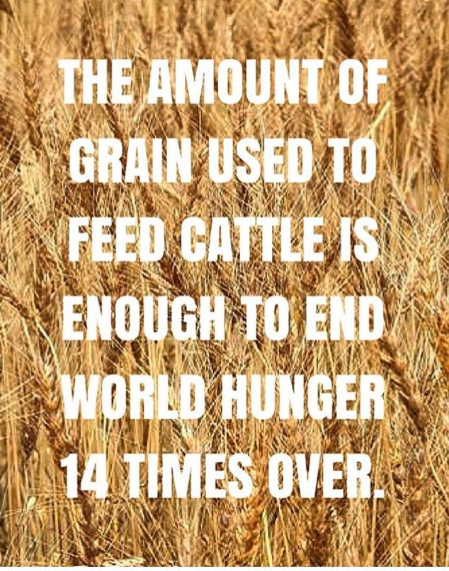 SHARE. JUST PLEASE SHARE.
#vegan #World #Hunger #Change