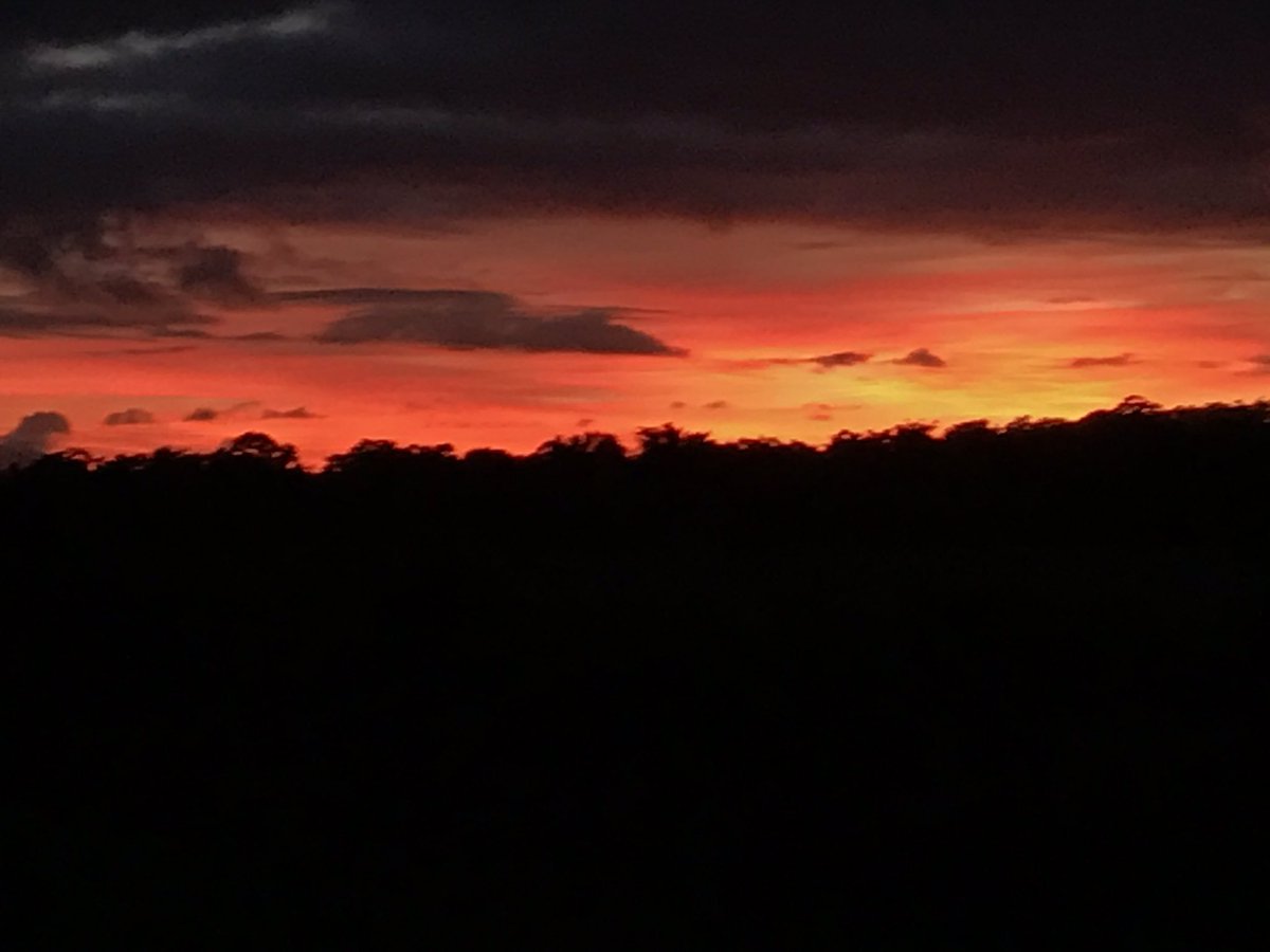 braddrum's tweet image. Sunrise on my way to BNI.