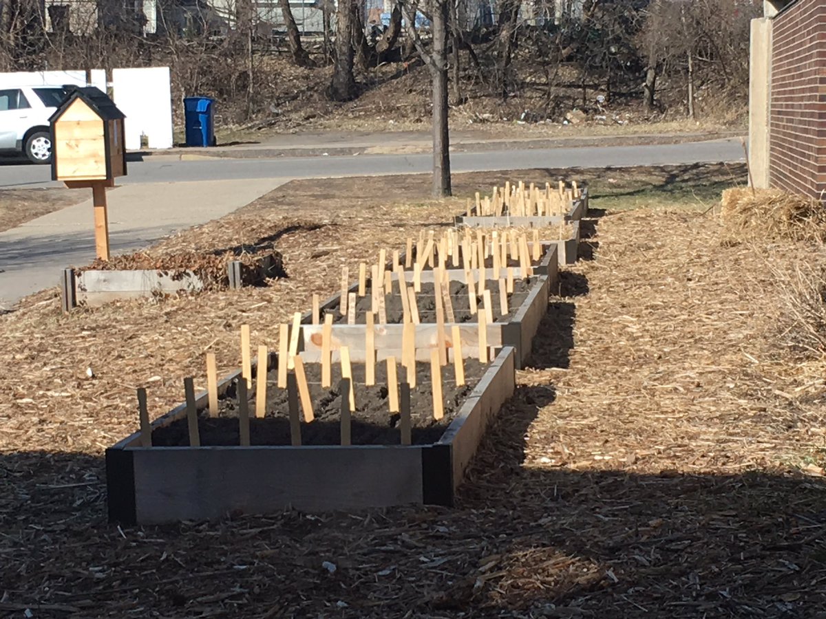 VentoElementary's tweet image. You have to love this weather!  The Vento Garden is coming alive!