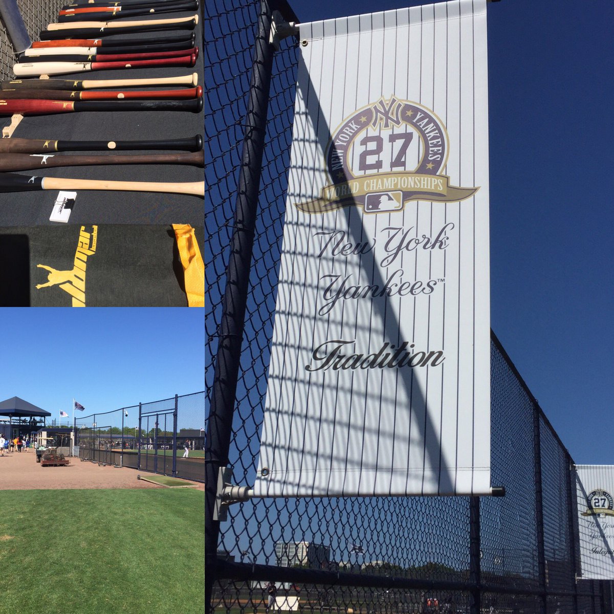 Alomar Baseball tweet media