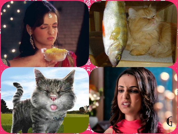 galinasol2's tweet photo. #SanayaIrani &amp; #BarunSobti @BarunSobtiSays #SARUNtogether in a #newsarunshow @StarPlus  @hotstartweets @StarTVNetwork @starindia @TeamSarun https://t.co/13jG634X8B