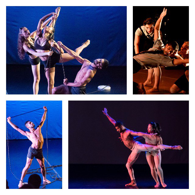 Alison Cook Beatty Dance tweet media