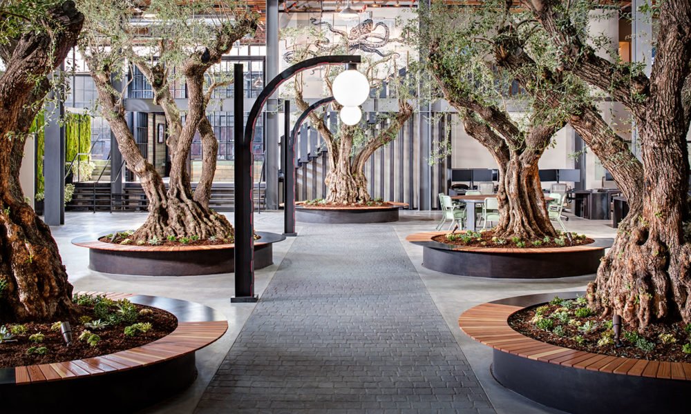 hivyapp's tweet image. Inside Underground Elephant&apos;s inspiring workspace in San Diego.  @uelephant uses #Hivy to run the office like magic ✨  #AmongOliveTrees