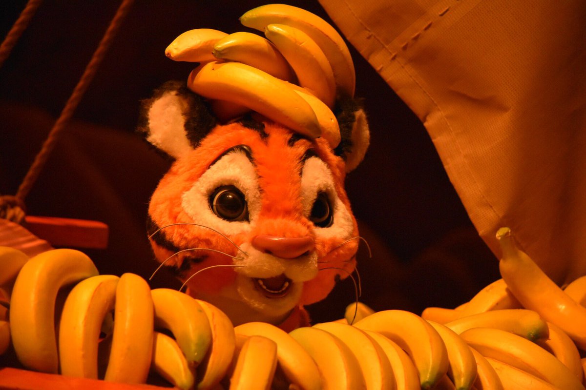 コンパスオブユアハート