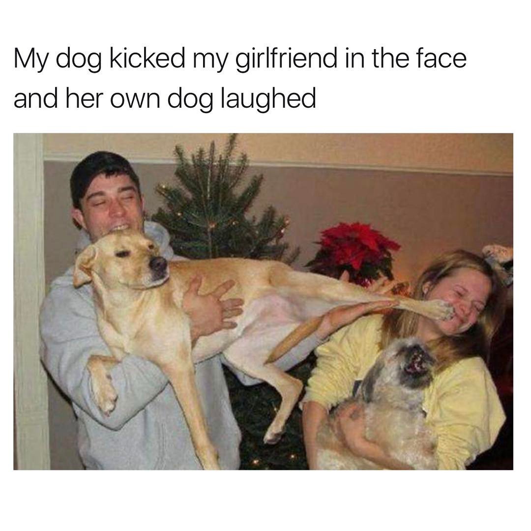 MensHumor's tweet image. This photo is everything.