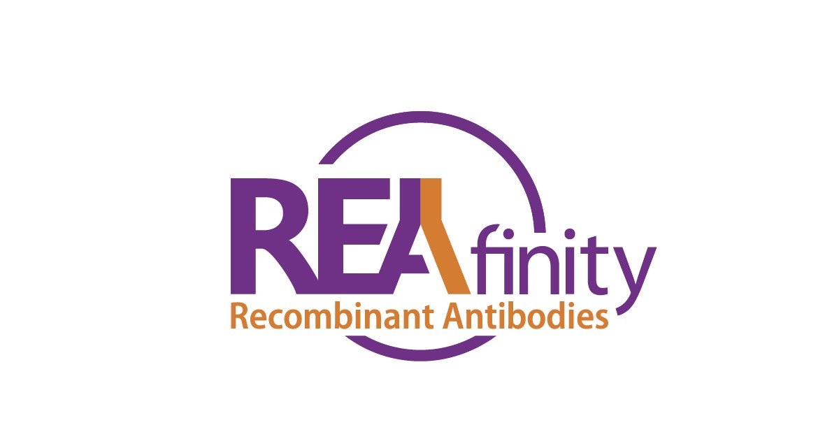 miltenyibiotec's tweet photo. No background signal. No FcR blocking step. Reproducible results. Save 50% on #REAfinity Recombinant Antibodies https://t.co/Bvk5IdC8YU https://t.co/TCHbnUws66