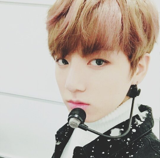 iconsfworld's tweet photo. jungkook icons✨

req by @jeonjekac

rt/fav if u saving💛 https://t.co/dlJsEOBjOa