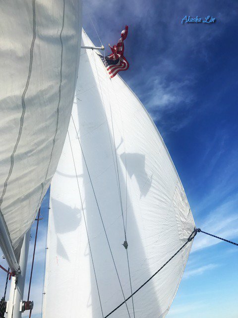 hduiha5886's tweet photo. ✨ #Tuesdaythought A job fills your pocket. #Adventure fills your soul.
📷Akasha Garnier  #sailing #LA #CotedAzur 
A toast to #TravelTuesday. https://t.co/QnzqhELMb9