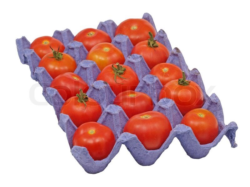 MattScopa2018's tweet photo. @MattScopa2018 a concept of what our tomatoes would look like https://t.co/RRxuuN7X5p