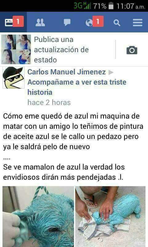 sdaut74's tweet photo. Pedazo de imbécil asesino!! Si lo conoces denuncialo!!! Comparte!! 🐶🐩🐕 https://t.co/NCwDAZqzN6