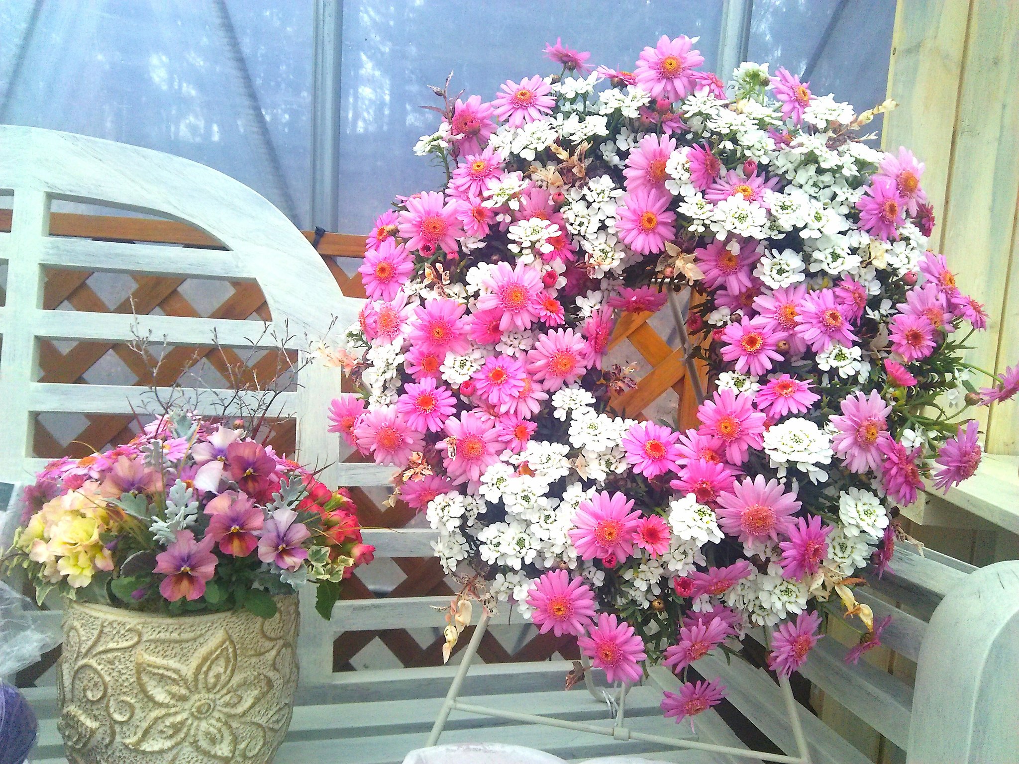 ガーデンプランツ工藤 Twitter Search Twitter