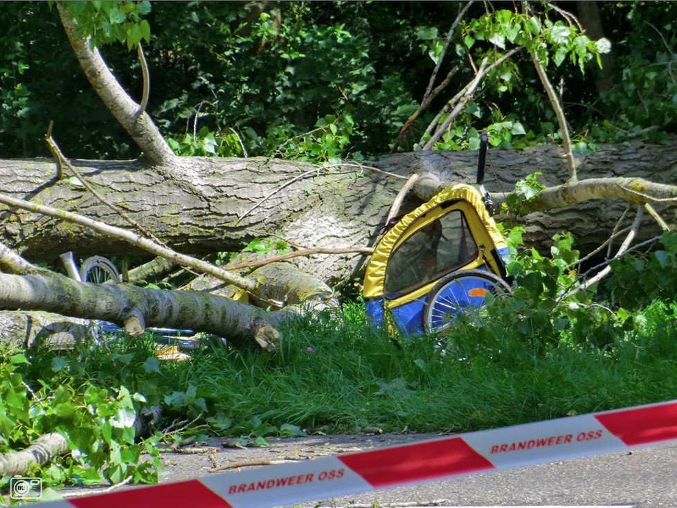 JoostVerhagen's tweet image. Boom-o-fielen: 8 april @Kpb_isa Themadag Boomveiligheid en registratie. Ik spreek over #Boomregister #StiekemeBomen #BoomRisicoManagement