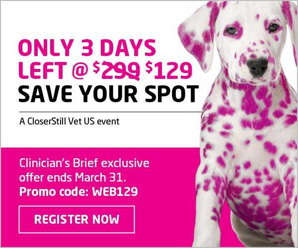 VetTeamBrief's tweet photo. Just 3 days left to save $50. Earn 15 CE credits in just 2 days for $129. Register now with promo code WEB129 at https://t.co/DEM7io3R0F. https://t.co/JPNPO7PudQ