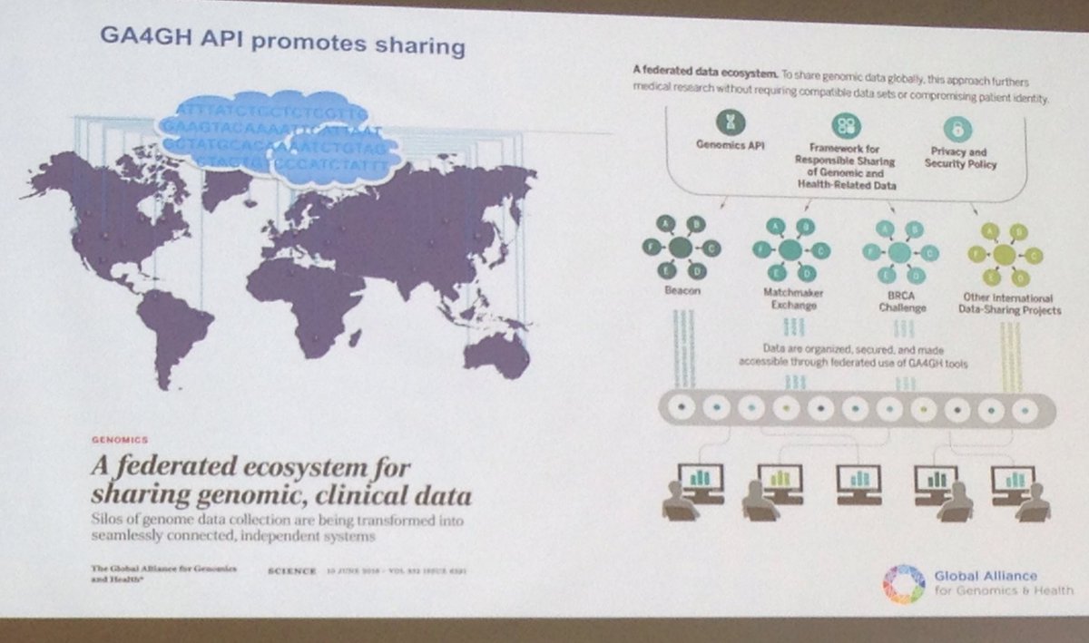 SSirarat's tweet image. @GA4GH API promotes sharing - everything but the sequence #biocuration2017 Michael Baudis