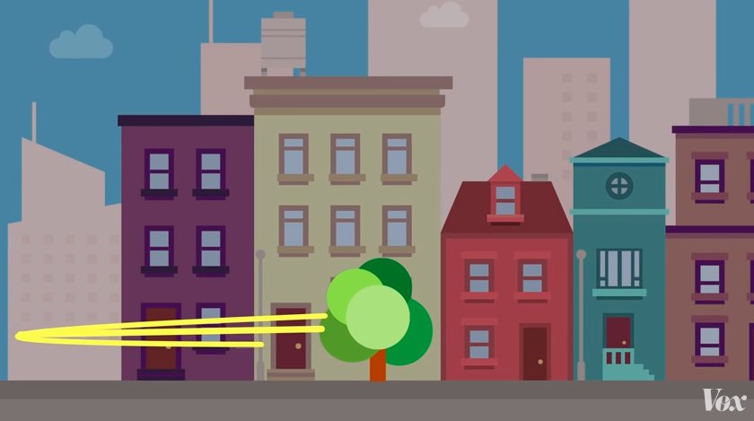 AnnColley_NYC's tweet image. Thanks @MarkTercek for this @voxdotcom video re: TNC's report - Planting #trees in cities can improve human health! bit.ly/2jryZbr