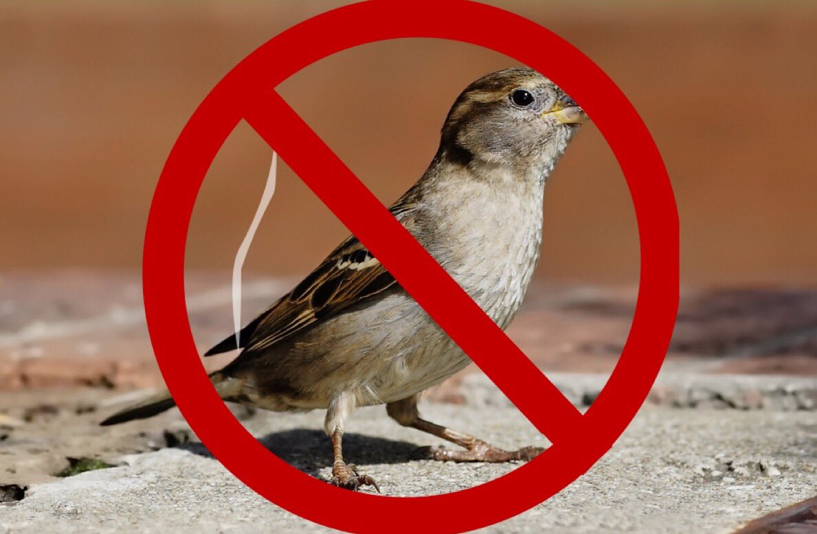 Eco Clean Industries tweet media