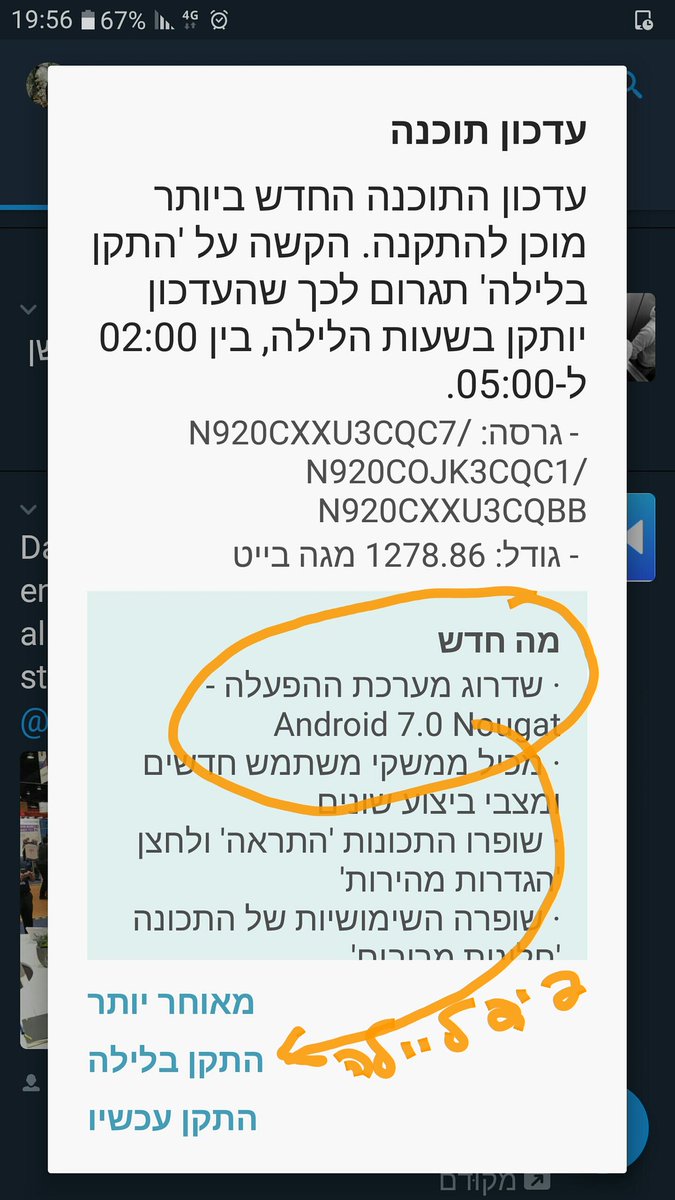 amarmosh65's tweet image. הלך פידלילה