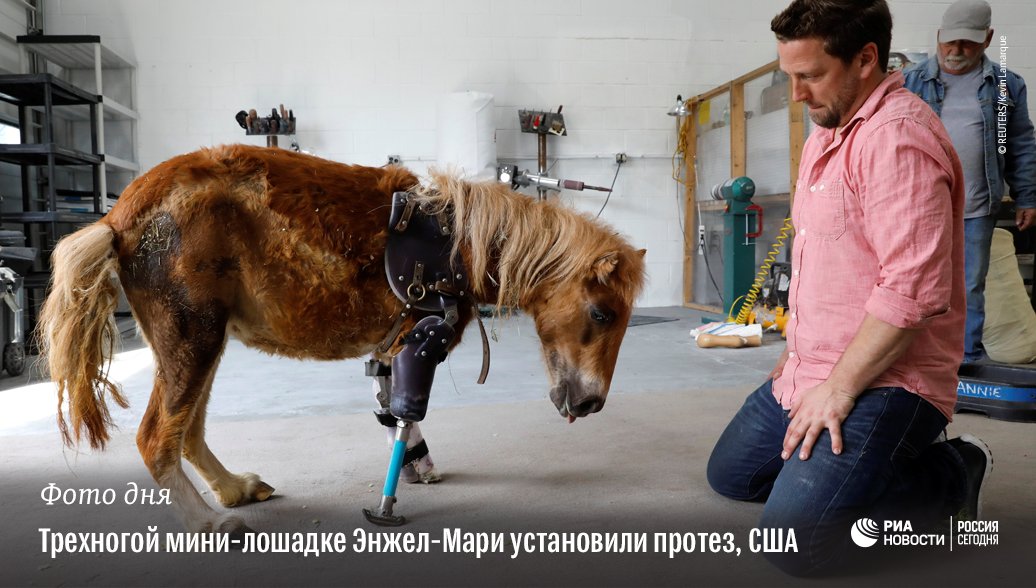 РИА Новости tweet media