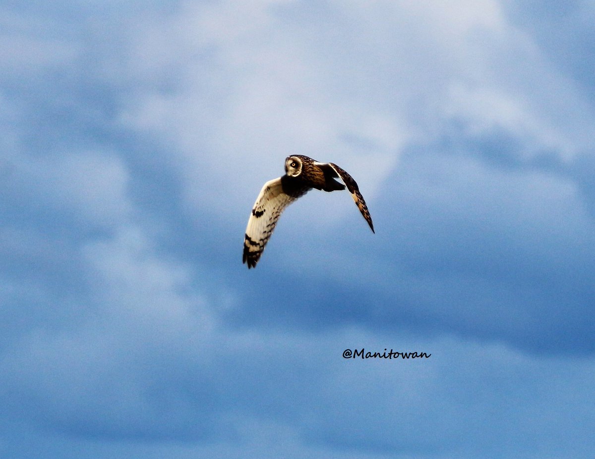 Manitowan's tweet image. Skies were alive with Wild yesterday at #boundarybay #DeltaBC  @weathernetwork @CanGeo Untamed skies rock!