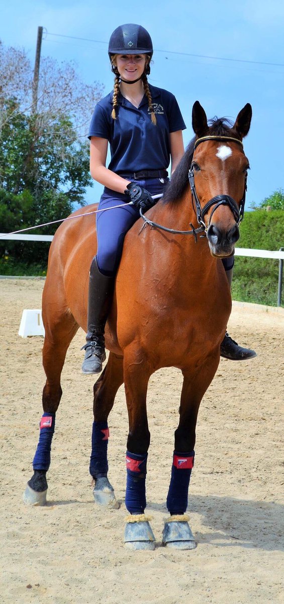 imi_tsutsi's tweet photo. 🐴🐴🐴
#tsutsi #horse #girl #smile #like #cyprus #happy #pferd https://t.co/4vLfzFUvuW