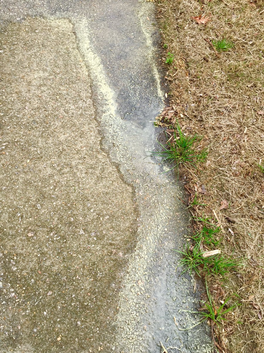 KristinKetchell's tweet photo. I just sprayed pollen off my car w/ the hose &amp; now I have yellow river running down my driveway. Its officially spring in NC! #PollenProbs https://t.co/pIJjepGdhi