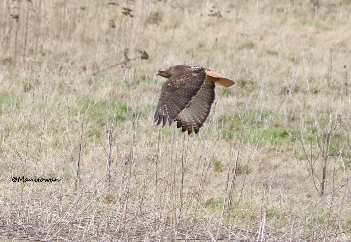 Manitowan's tweet image. Skies were alive with Wild yesterday at #boundarybay #DeltaBC  @weathernetwork @CanGeo Untamed skies rock!