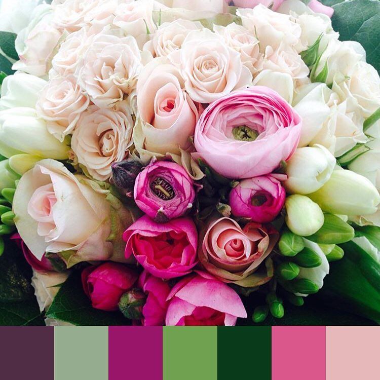 foundpalettes's tweet photo. @meninazulada shows us an amazing palette of flowers for Spring 💐#foundpalettes https://t.co/QIKaAVpEUW https://t.co/xkU4y0RuEA