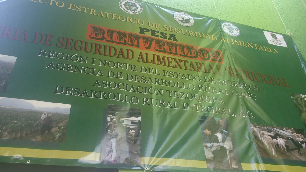 LUISADIAZRIVAS's tweet photo. #PESA_mx #FeriadeSeguridadAlimentariaPESA
Morelos ADR TEZOQUIPA. #Apoyos SAGARPAPESA ovinos, amaranto nopal. @Mely_Romero @paulinaescobedo https://t.co/nSSgpm5NoX