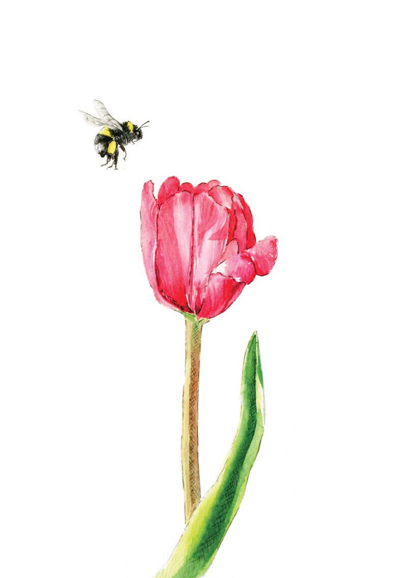 jessica kendrew tweet media