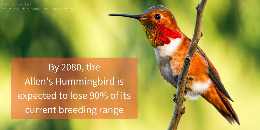 audubonsociety's tweet photo. Here's what's at stake when we take our most concrete plans to deal w/ #climatechange off the table. https://t.co/jxlZ7KTMIj #CleanPowerPlan https://t.co/YytyGZmKmp