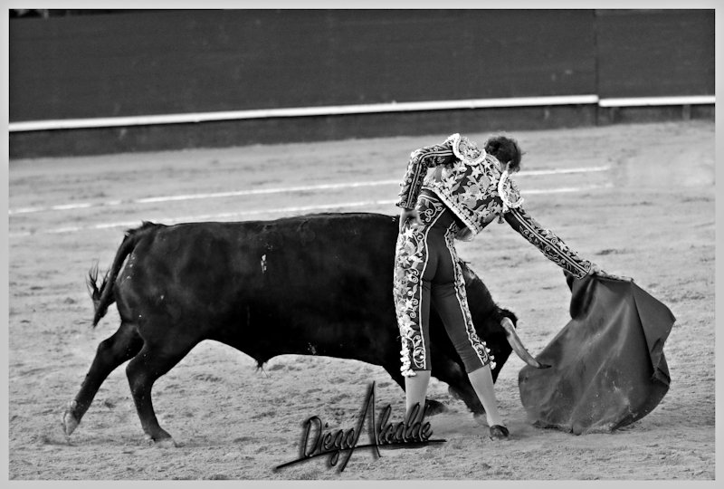 DIEGOALCALDE1's tweet photo. Recuerdos Valencia @RomanCollado @PRGtoros https://t.co/NYLm3JoYJh