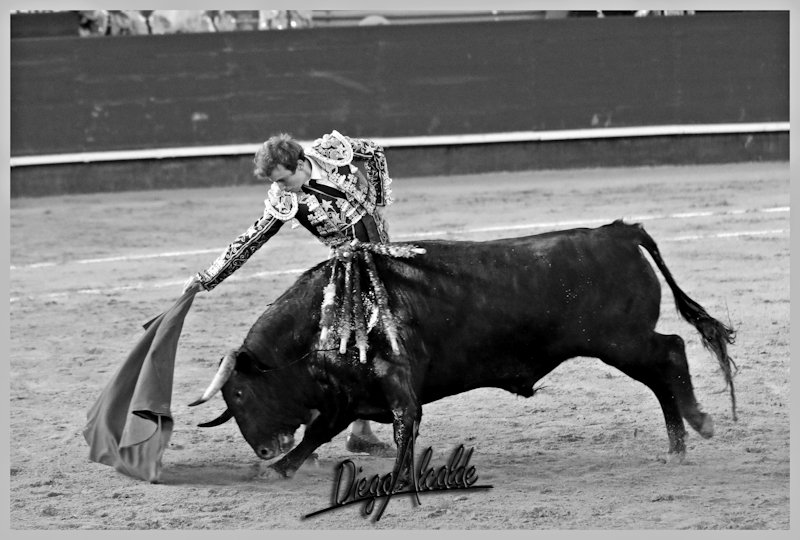 DIEGOALCALDE1's tweet photo. Recuerdos Valencia @RomanCollado @PRGtoros https://t.co/NYLm3JoYJh