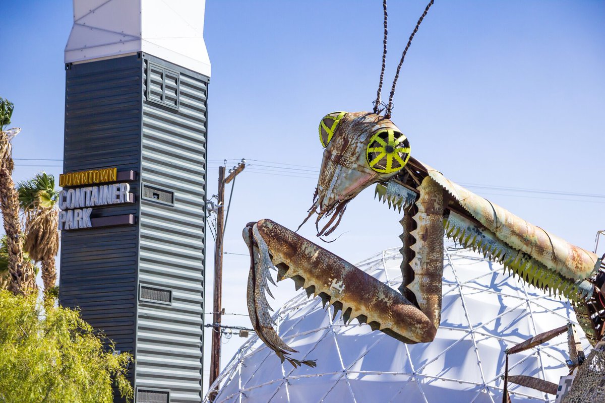 We like BIG bugs and we cannot lie! 😎🐜😘 #DTLV #ContainerPark