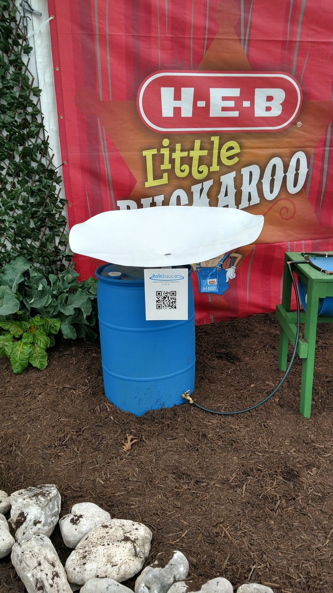 rainsaucers's tweet photo. At the recent @SanAntonioRodeo as part of an Agricultural education exhibit put on by Master Gardeners @txextension @villagecapital @ARCSA3 https://t.co/c7G5pTyHld