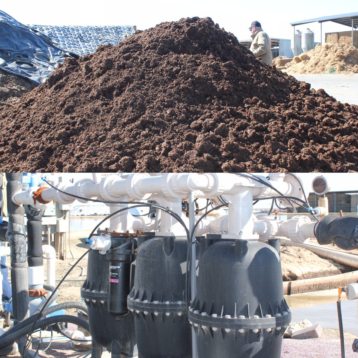 SusCon_CA's tweet photo. #wormbox needs: water, manure, filtration - and worms, of course! Manure/H20 mix sprayed into box, worms get busy removing nitrogen https://t.co/ANKVWznM9w