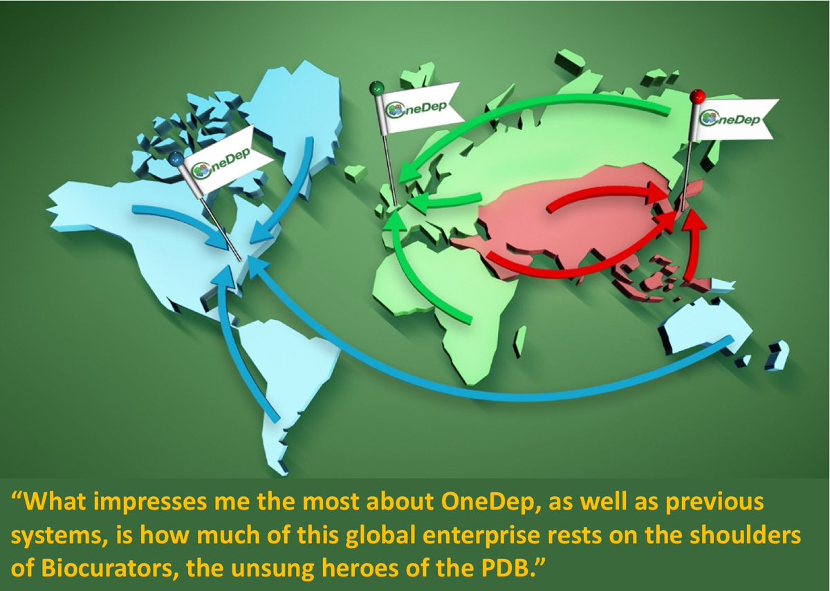 buildmodels's tweet image. Biocurators are unsung heroes, as observed by @CrossTalkCP #biocuration2017 crosstalk.cell.com/blog/onedep-is…