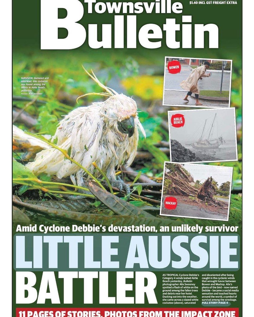 tsvnq's tweet photo. The day after #TropicalCycloneDebbie. #TownsvilleBulletin front page. https://t.co/CSTQQhAeNz https://t.co/WeaqWV1jS5