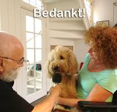 hondkanwasdoen's tweet photo. Veel mensen vallen geheel buiten de financiële vergoedingen voor een assistentiehond #dtv  #bedankt
https://t.co/FYCwAq7VU8 https://t.co/9DB82kyRps