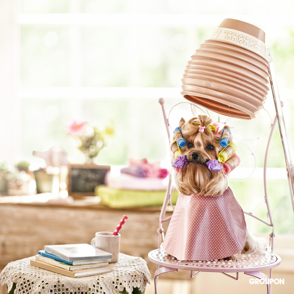 sabine-birke-brecht-head-of-training-coaching-groupon-xing