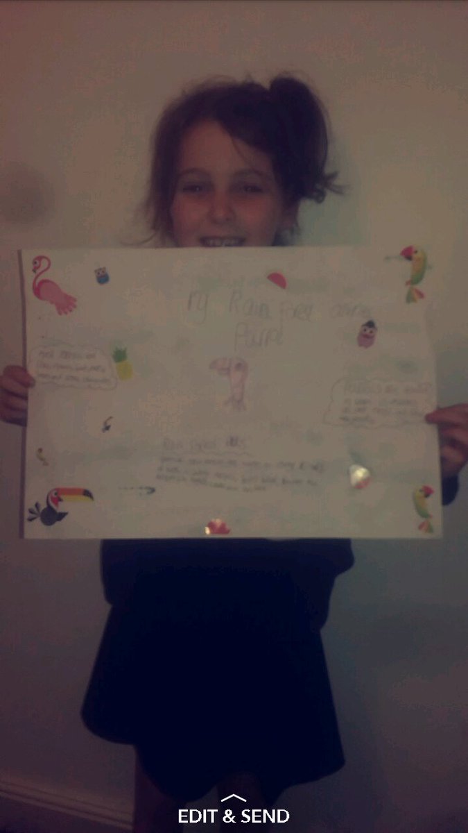 chloewest2010's tweet photo. Ella's homework #rainforestanimal #parrot #tropicalbirds #blowpens #colourpencils #pens #stickers #looksomuchbetterinperson @MissWyattkidz https://t.co/dhb2X15GIS