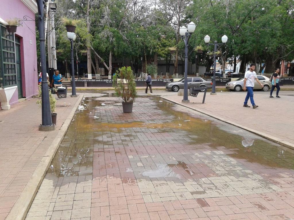 NoticiasFalcon's tweet photo. Usuarios reportan "fuga de agua" desde hace varios días en el Paseo Talavera (en pleno centro de Coro. https://t.co/Q8MLR0lMTJ