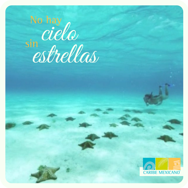 visitacaribemex's tweet image. El cielo es tuyo y está en #CaribeMexicano.
#ElCieloIslaCozumel #TianguisTurístico
