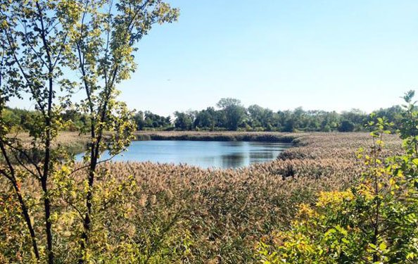 NYCParks's tweet photo. Have you visited Ridgewood Reservoir? This Saturday, join a free tour of this hidden gem in Highland Park: https://t.co/X1pLtpmEu5 https://t.co/B2sFUkX2F5