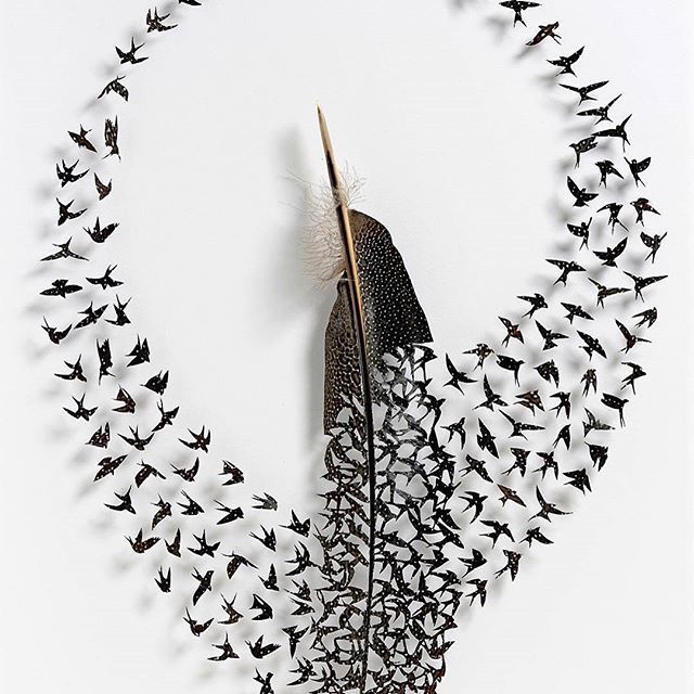 emmapumarola's tweet photo. WOW!
Images via @durmoosh.
Chris Maynard - Untitled (intricate art carved out of feather) 2016 #chrismaynard https://t.co/0cOcIzE8IE