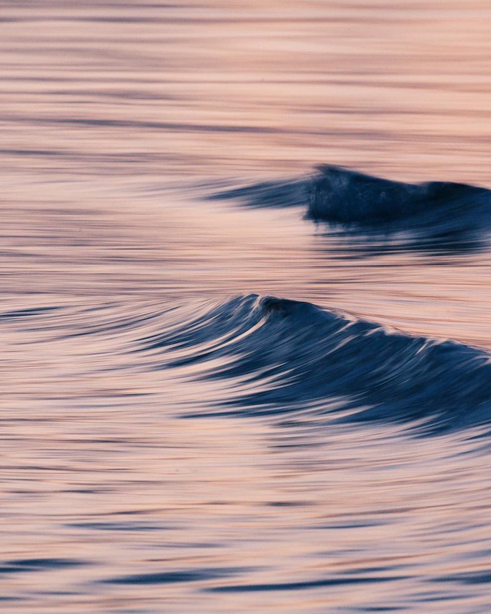 TrailwhisperCO's tweet photo. Alexander Photography is delivering photography at it’s best. You can find some of his work on our blog section:
https://t.co/fyJ9bQnYWX… https://t.co/pbUw1LVtsg