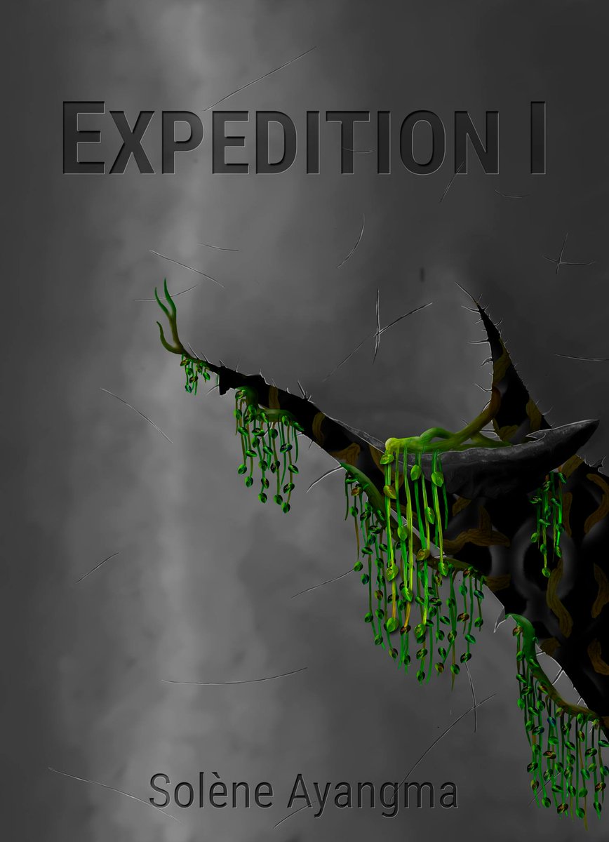 L_Attelage's tweet photo. Expédition I, de Solène, a sa nouvelle couverture 😀🖌 Qu'en pensez-vous ?
#MeuteUpsilon
Retrouvez l'histoire sur https://t.co/s6rv6KT5tt https://t.co/VPmTjOQHtl