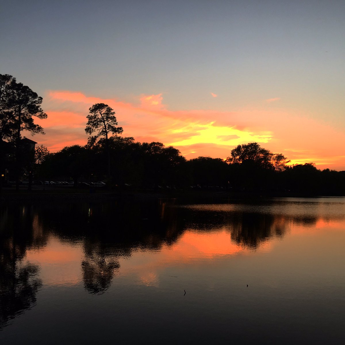 WokilBam21's tweet photo. #lake #trees #sunset #clouds #colorful #beautiful #loveit #gooddaytorun #reflections @lsu #snaplsu https://t.co/c9lChafWt4