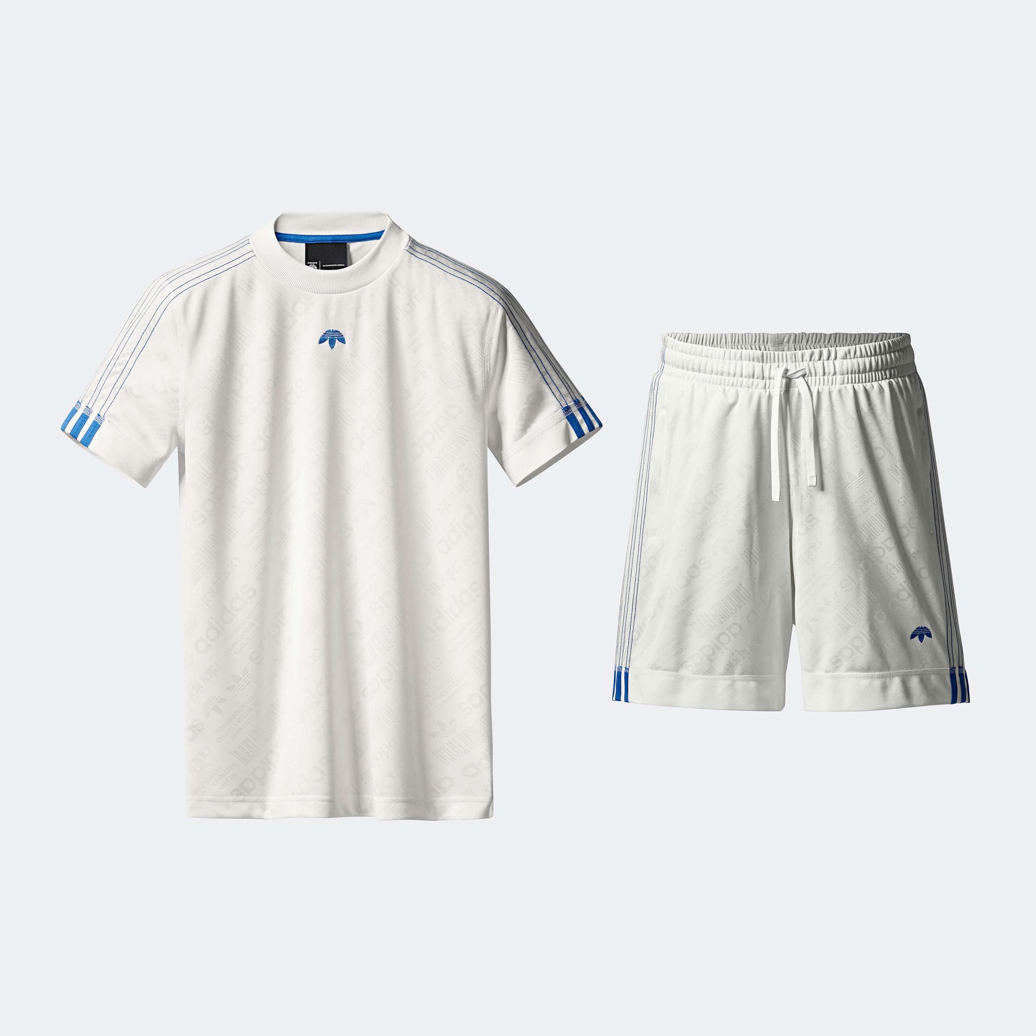 alexander wang olx