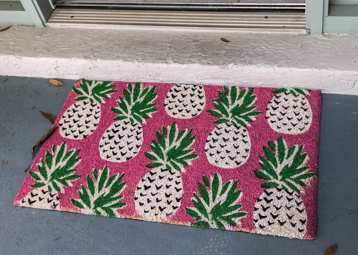 My friend just bought a new house. Before I even stepped inside, I saw this—and fell in love. Now I have #DoormatGoals. 🍍💝